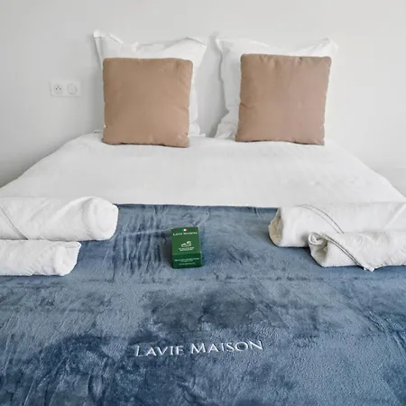 Lavie Maison Spacious With Terrace 巴黎